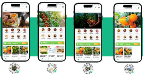 麗江特產(chǎn)平臺招募加盟商，首批限量100名，月入2萬不是夢